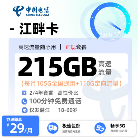 电信江畔卡【湛江专属】29元/月享105G通用流量+110G定向流量+100分钟通话